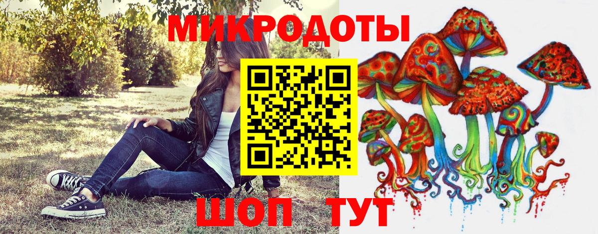 Галлюциногенные грибы Psilocybe Новоуральск
